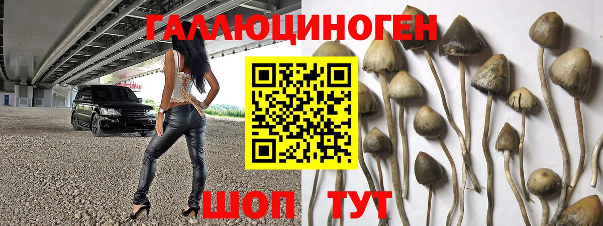 Галлюциногенные грибы ЛСД Ливны